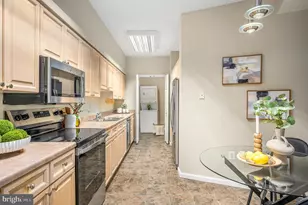 19375 Cypress Ridge Terrace, Leesburg, VA 20176 - Photo 16