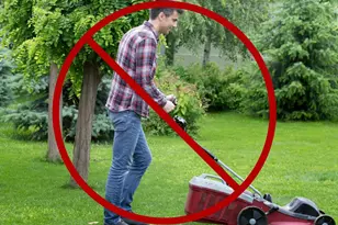 19812 Rothschild Ct, Ashburn, VA 20147 - Photo 100