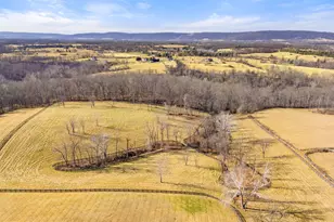 21051 St Louis Rd, Middleburg, VA 20117 - Photo 94