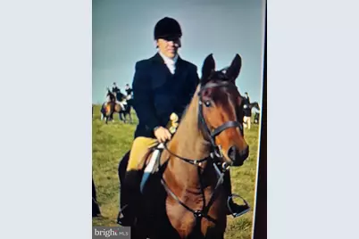 100 Fox Run Terrace, Middleburg, VA 20117 - Photo 14