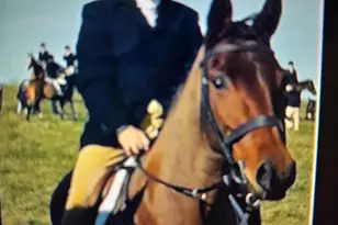 100 Fox Run Terrace, Middleburg, VA 20117 - Photo 14