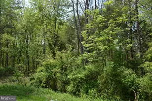 22111 Chelsy Paige Square, Ashburn, VA 20148 - Photo 20