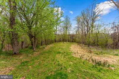 14039 Amys Meadow Court, Leesburg, VA 20176 - Photo 114