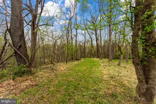 14039 Amys Meadow Ct, Leesburg, VA 20176 - Photo 110