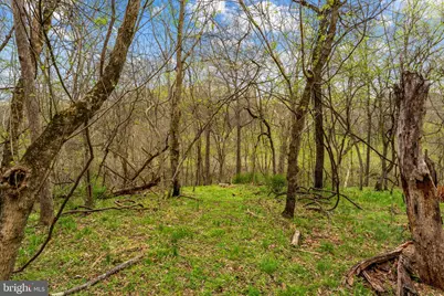 14039 Amys Meadow Court, Leesburg, VA 20176 - Photo 108
