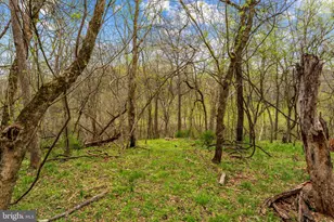 14039 Amys Meadow Ct, Leesburg, VA 20176 - Photo 108