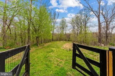14039 Amys Meadow Court, Leesburg, VA 20176 - Photo 106
