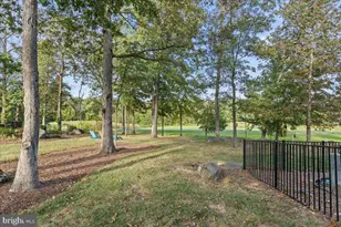 19598 Saratoga Springs Pl, Ashburn, VA 20147 - Photo 6