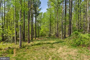 41412 Gentle Wind Pl, Aldie, VA 20105 - Photo 70