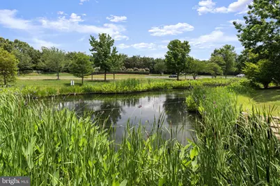 43344 Markham Place, Ashburn, VA 20147 - Photo 60