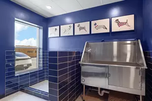 21731 Dovekie Ter, Ashburn, VA 20147 - Photo 28