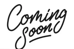 22801 Tawny Pne Sq, Brambleton, VA 20148 - Photo 2