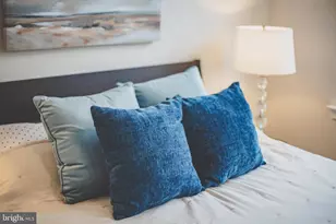 22801 Tawny Pne Sq, Brambleton, VA 20148 - Photo 50