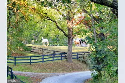 21539 Oatlands Road, Aldie, VA 20105 - Photo 110