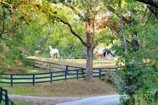 21539 Oatlands Rd, Aldie, VA 20105 - Photo 110