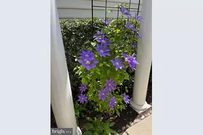 44397 Oakmont Manor Square, Ashburn, VA 20147 - Photo 22