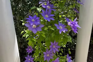 44397 Oakmont Manor Square, Ashburn, VA 20147 - Photo 22