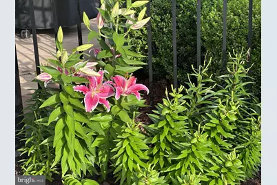 42798 Macbeth Terrace, Ashburn, VA 20148 - Photo 70