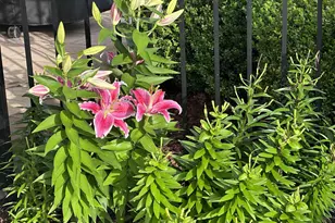 42798 Macbeth Ter, Ashburn, VA 20148 - Photo 70