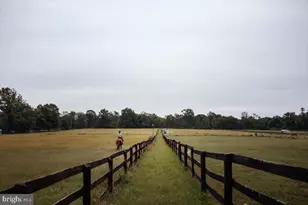 19606 Ridgeside Rd, Bluemont, VA 20135 - Photo 14