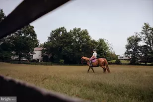 19606 Ridgeside Rd, Bluemont, VA 20135 - Photo 78