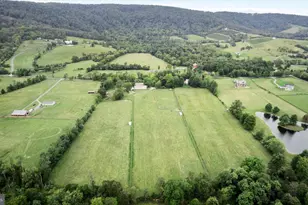 19606 Ridgeside Rd, Bluemont, VA 20135 - Photo 54