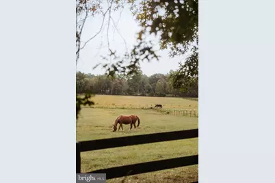 19606 Ridgeside Road, Bluemont, VA 20135 - Photo 70