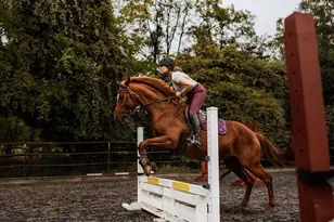 19606 Ridgeside Rd, Bluemont, VA 20135 - Photo 16