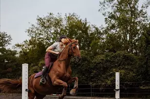 19606 Ridgeside Rd, Bluemont, VA 20135 - Photo 18