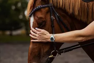 19606 Ridgeside Rd, Bluemont, VA 20135 - Photo 72