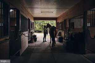 19606 Ridgeside Rd, Bluemont, VA 20135 - Photo 10