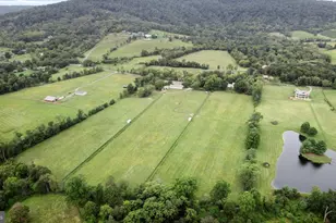 19606 Ridgeside Rd, Bluemont, VA 20135 - Photo 50