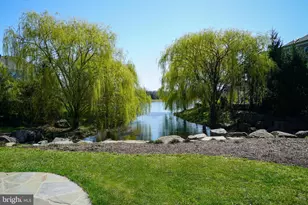 Night Nurse Circle, Brambleton, VA 20148 - Photo 42