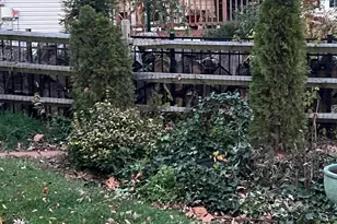 1114 Bradfield Dr SW, Leesburg, VA 20175 - Photo 12