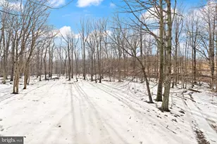 41780 Conklin Dr, Leesburg, VA 20176 - Photo 92