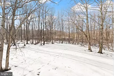 41780 Conklin Drive, Leesburg, VA 20176 - Photo 90