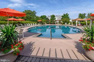 42261 Terrazzo Terrace, Aldie, VA 20105 - Photo 30