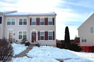 439 Ginkgo Terrace NE, Leesburg, VA 20176 - Photo 1