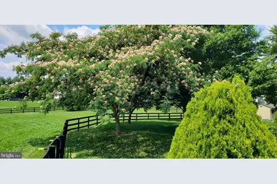 38607 Millstone Drive, Purcellville, VA 20132 - Photo 62