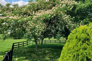 38607 Millstone Dr, Purcellville, VA 20132 - Photo 62