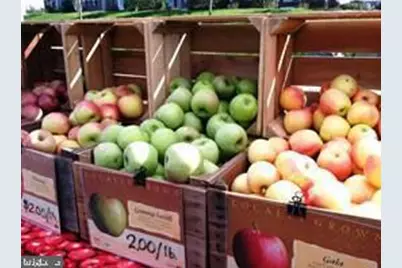 42257 Bliss Terrace, Brambleton, VA 20148 - Photo 60