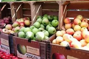 42257 Bliss Terrace, Brambleton, VA 20148 - Photo 60