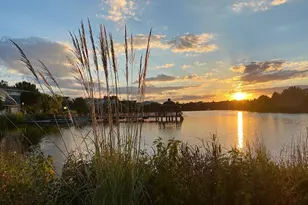 43926 Bonlee Square, Ashburn, VA 20147 - Photo 44