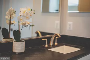 43182 Mongold Square, Ashburn, VA 20148 - Photo 38