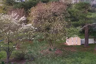 16764 Hillsboro Rd, Purcellville, VA 20132 - Photo 66