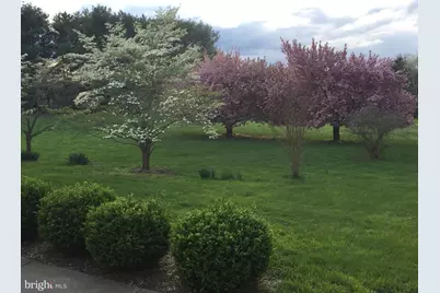 16764 Hillsboro Road, Purcellville, VA 20132 - Photo 64