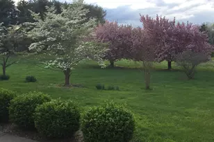 16764 Hillsboro Rd, Purcellville, VA 20132 - Photo 64