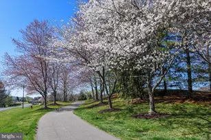 18415 Kingsmill St, Leesburg, VA 20176 - Photo 68