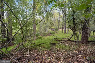 37009 Philomont Rd, Purcellville, VA 20132 - Photo 64