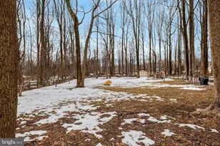 24154 Corktree Ln, Aldie, VA 20105 - Photo 64